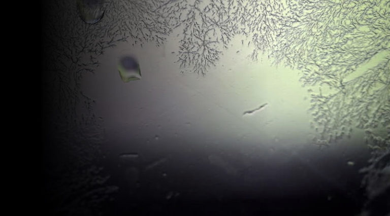 Preventing Frost